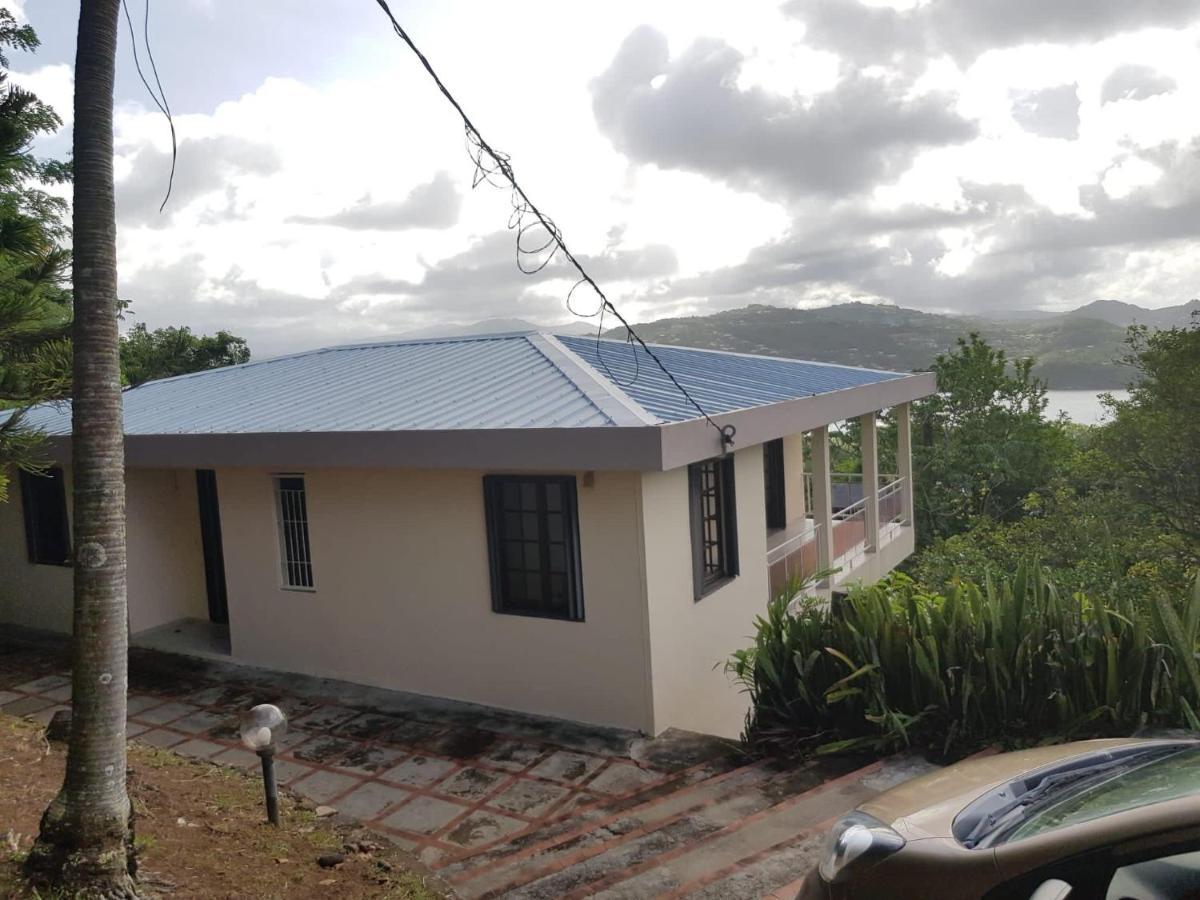Top Hill Hostel- Martinique- Auberge Dortoir لا ترينيت المظهر الخارجي الصورة